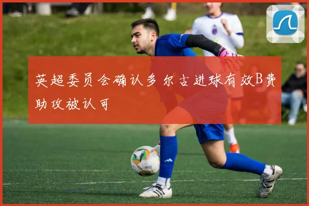 英超委员会确认多尔古进球有效B费助攻被认可